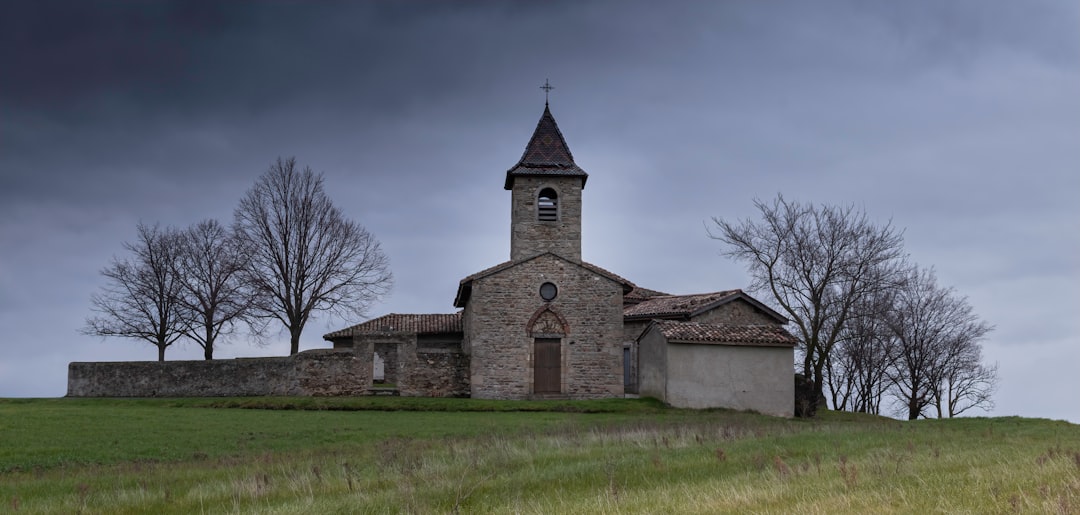 Image of Collégiale Saint-Martin
