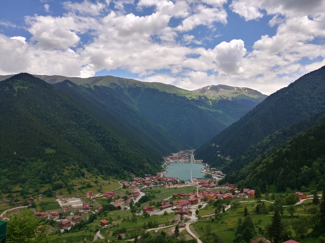 Image of Peja